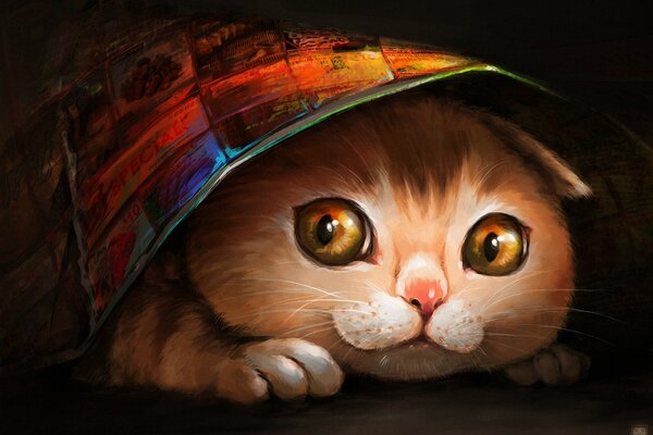 Un chat caché sous une couverture
