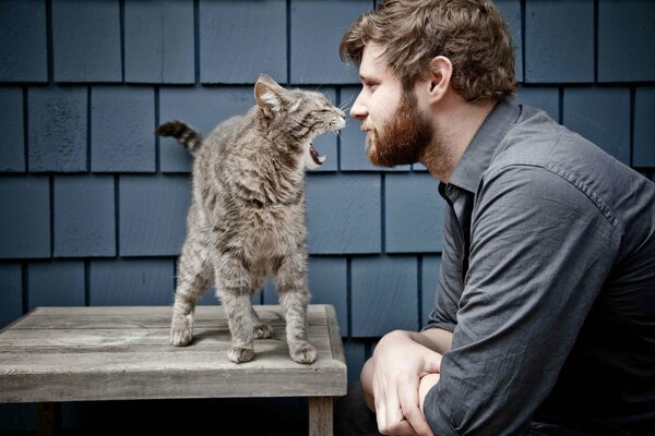 Un chat se tient sur une table et siffle sur un homme assis