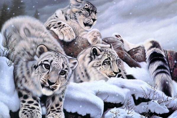 Art image of snow basses in the snow