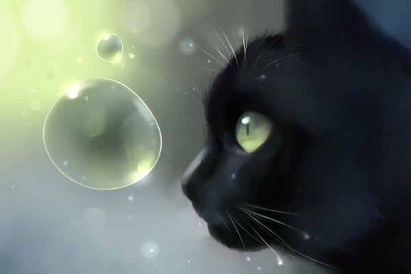 Picture profile of a black cat and bubbles
