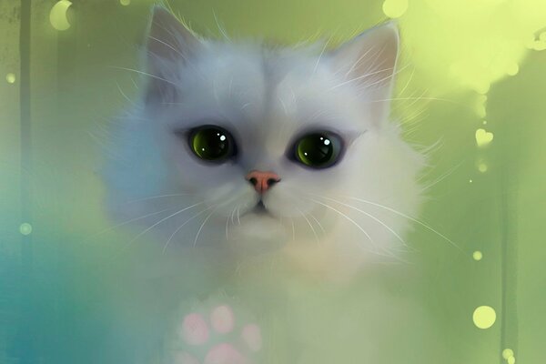 Painted white kitten