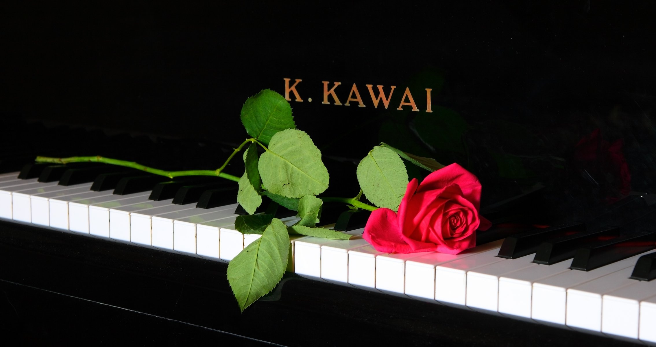 piano rose musique