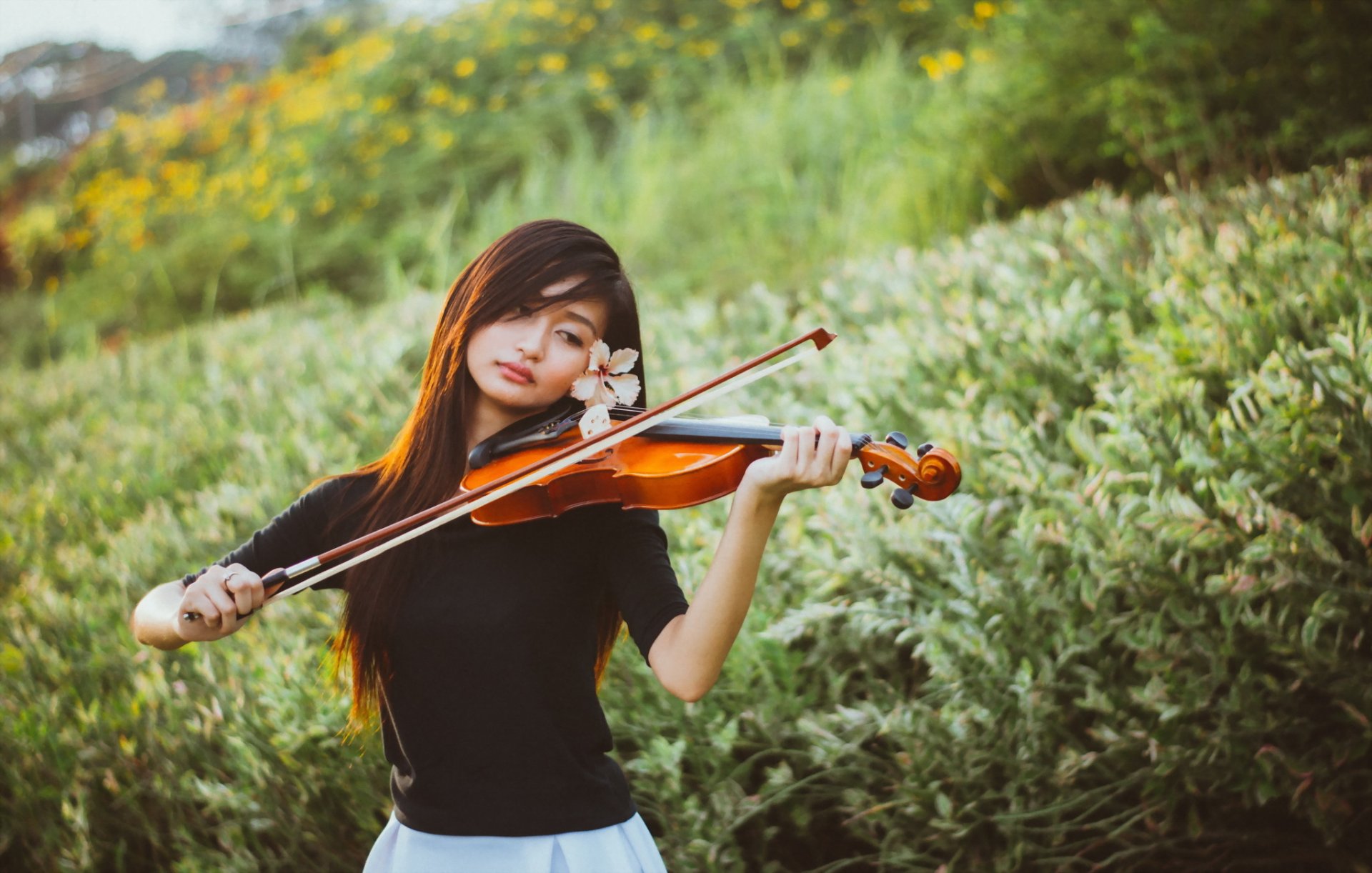 chica violín música