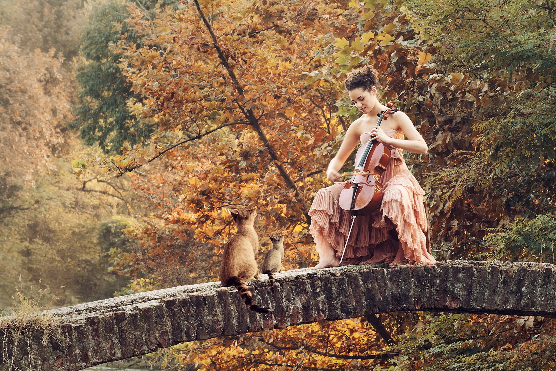 ragazza ponte gatti musica