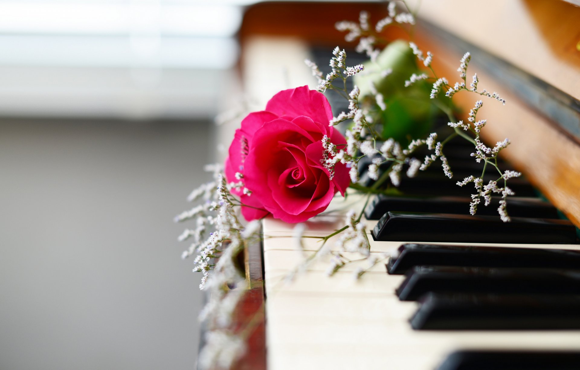 piano flores música