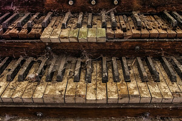 Old keys of an abandoned organ