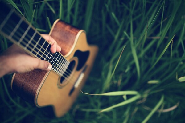 Guitarra acústica en hierba verde