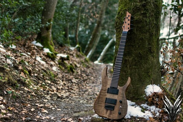 Guitare sur fond d arbre dans la forêt d automne