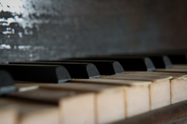 Beautiful photo of piano keys