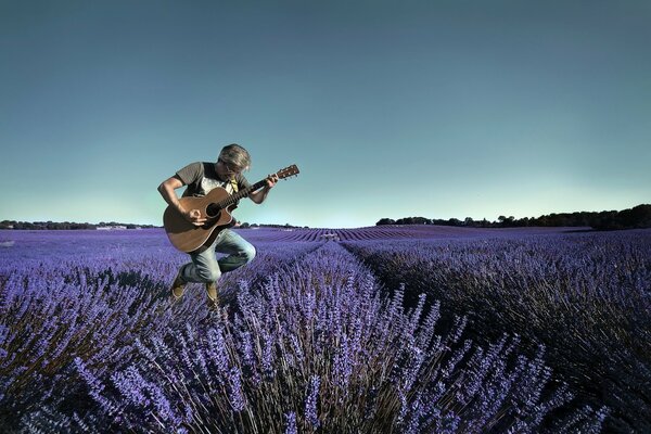 Musiker Mann im Feld mit Lavendel