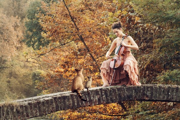 Herbstmusik auf der Brückenbrücke