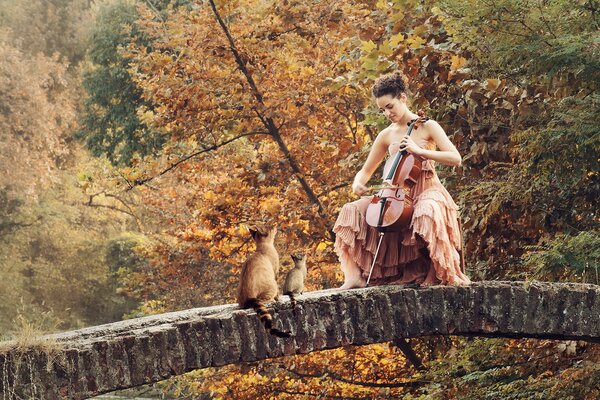 Autumn music on a fragile bridge