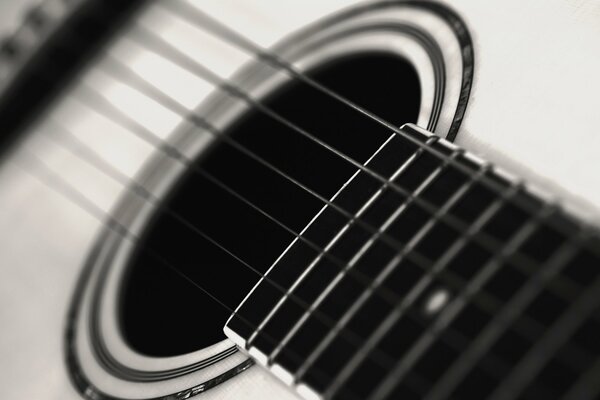 Monochrome macro photo of a guitar