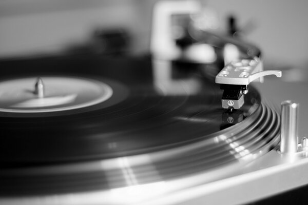 Disques Vinyles musicaux sur étagère