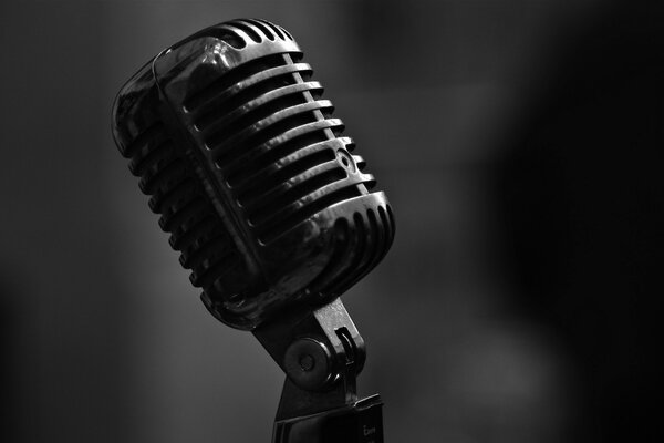 Immagine in bianco e nero del microfono