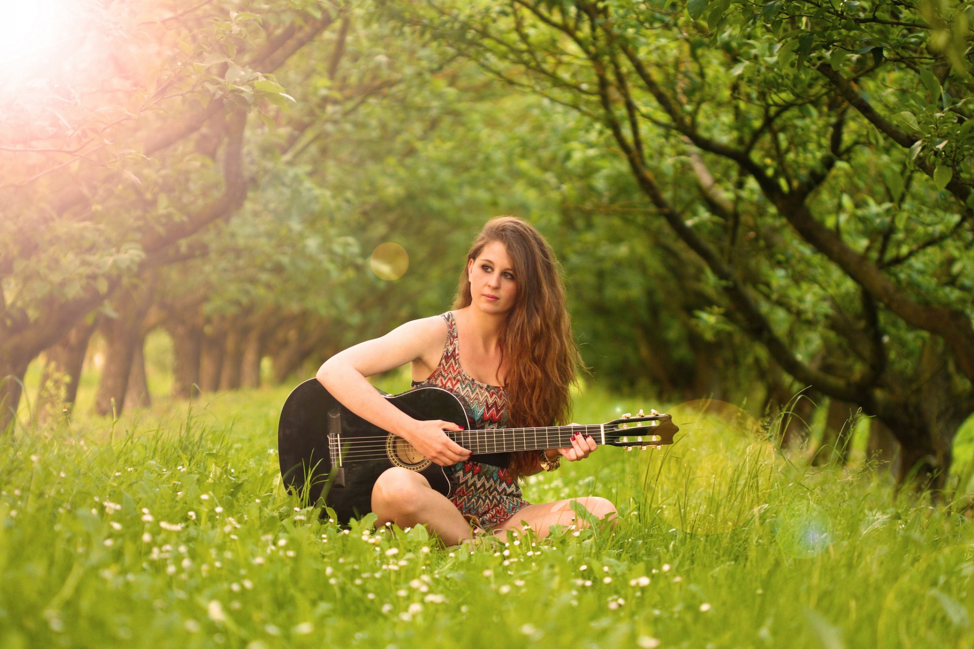 fanny guitare musique