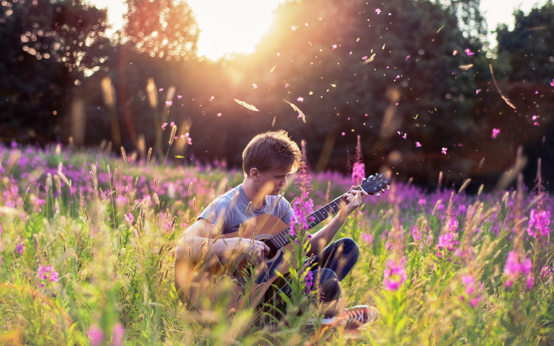 freund gitarre musik sommer