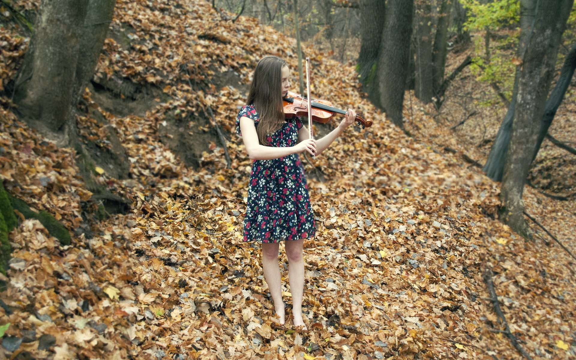 chica violín música otoño