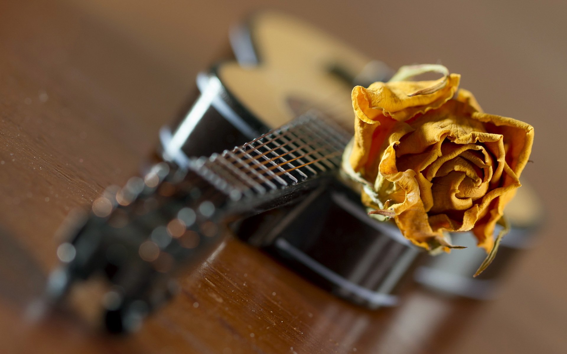 guitarra rosa música