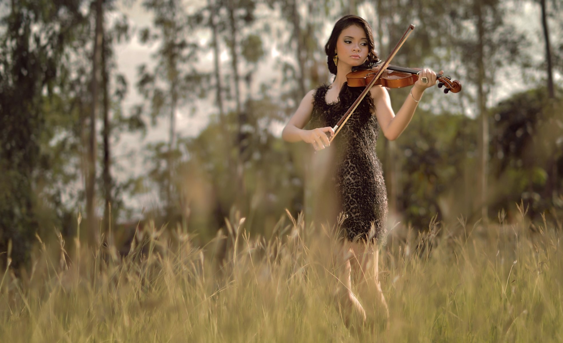 chica violín verano campo música