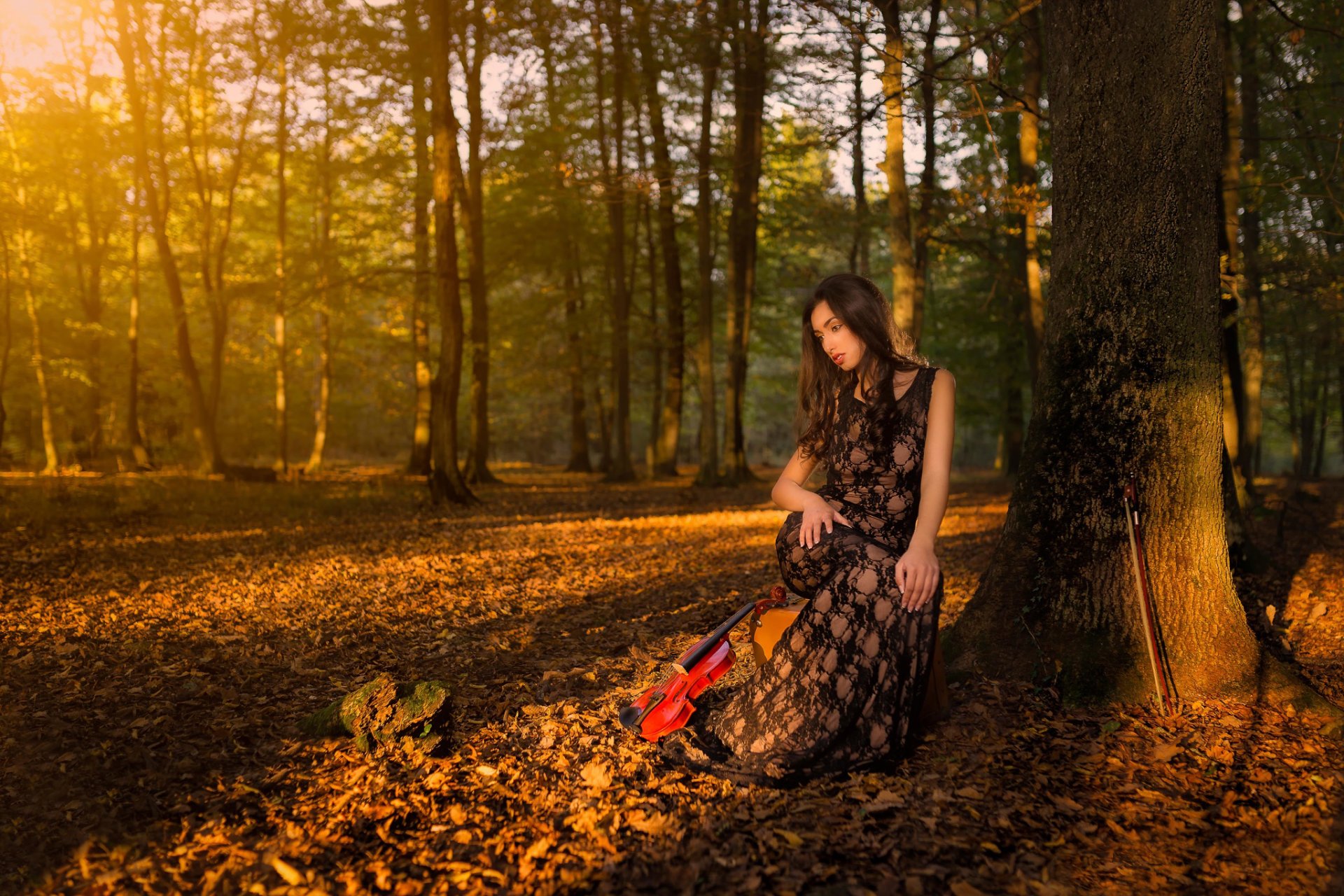 violinista chica bosque otoño violín