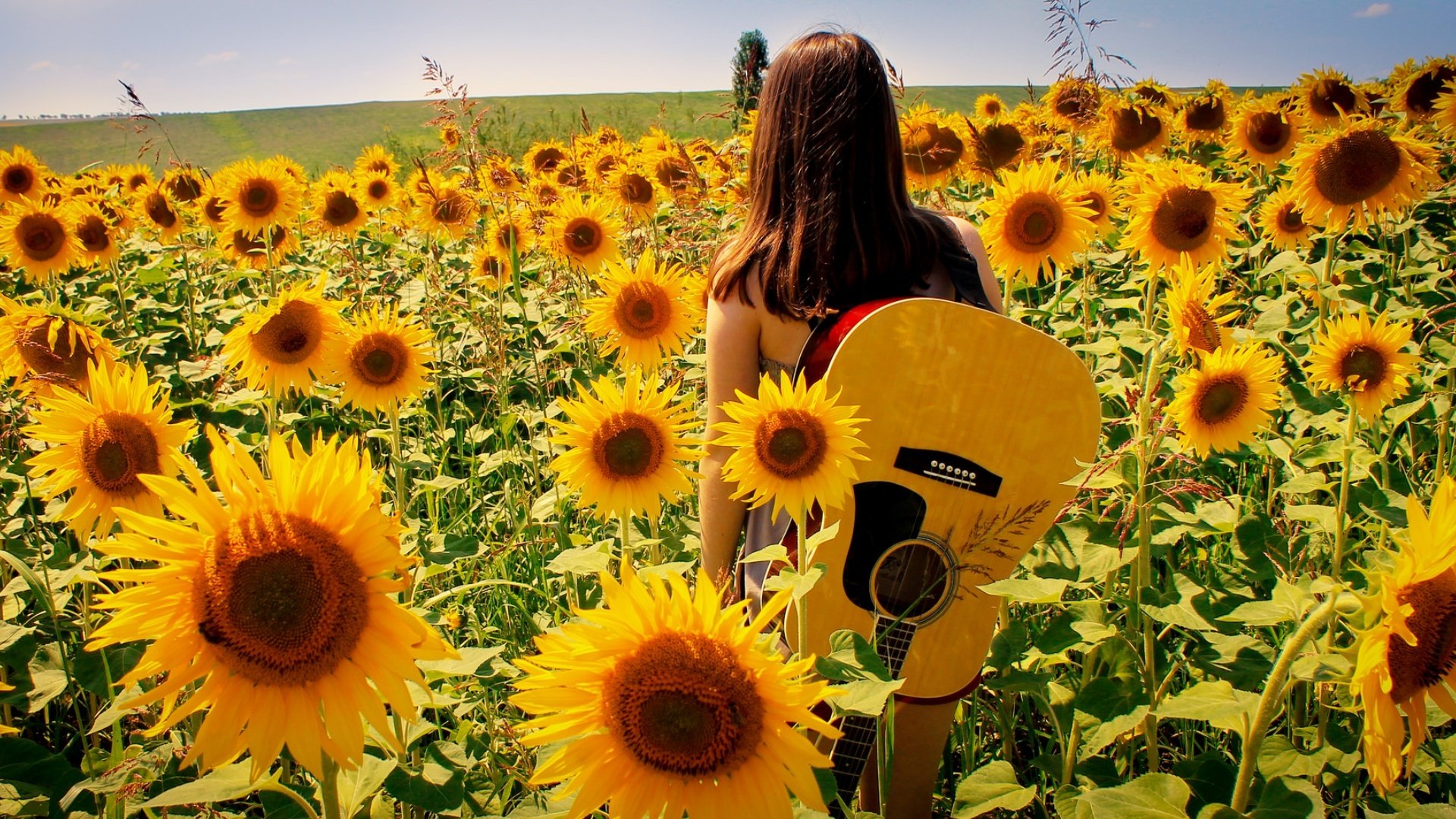 mädchen gitarre musik sommer sonnenblumen natur