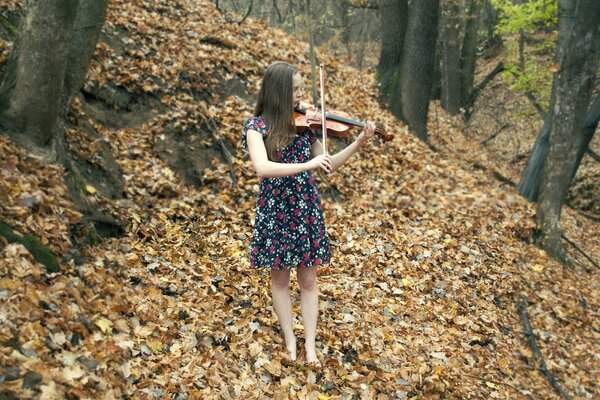 Música de otoño de una chica con violín