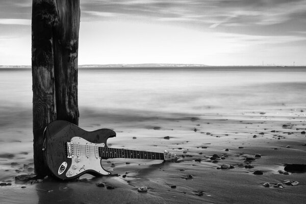 Electric guitar black and white effect