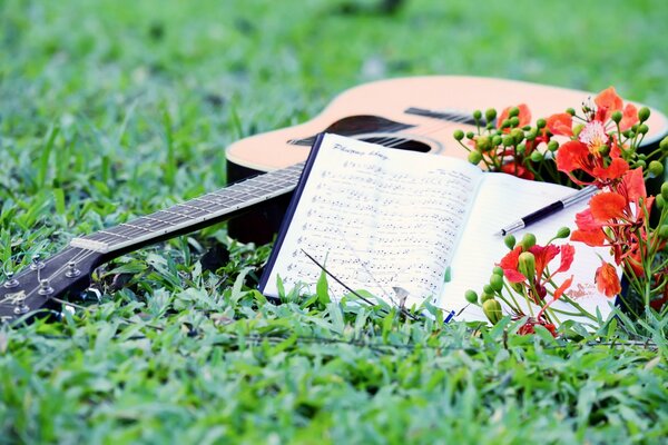 Gitarre auf Gras mit Blumen und Noten