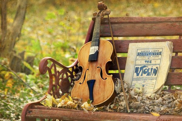 Violine auf der Bank, musikalische Textur