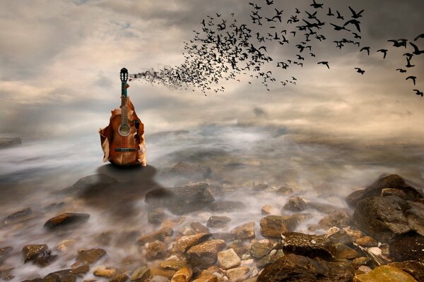 Guitarra de fantasía solitaria en la naturaleza