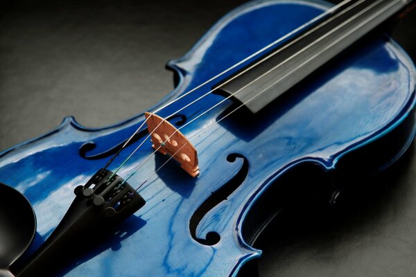 Belle courbe de violon bleu