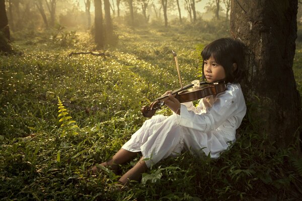 Música del bosque tocada en el violín