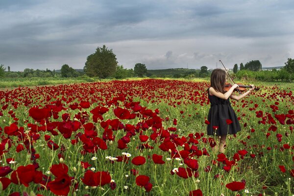 Fille avec un violon dans les coquelicots