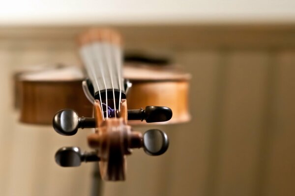 Favorite violin angle in macro mode