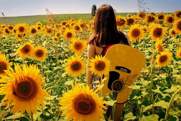 Fille dans les tournesols avec une guitare debout dos