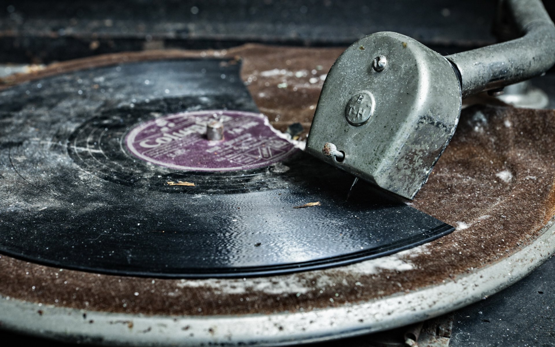 gramophone disque macro