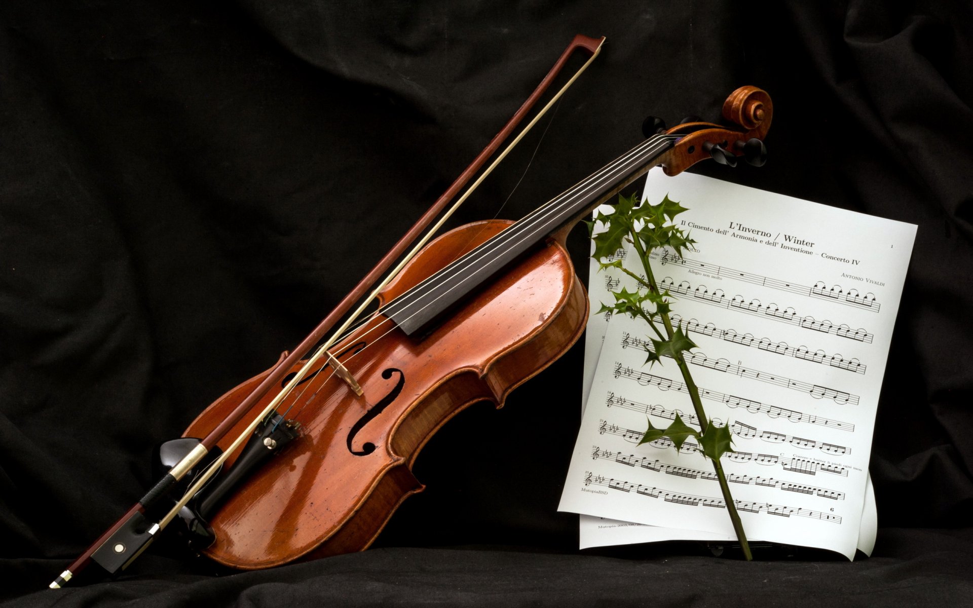 violon notes musique