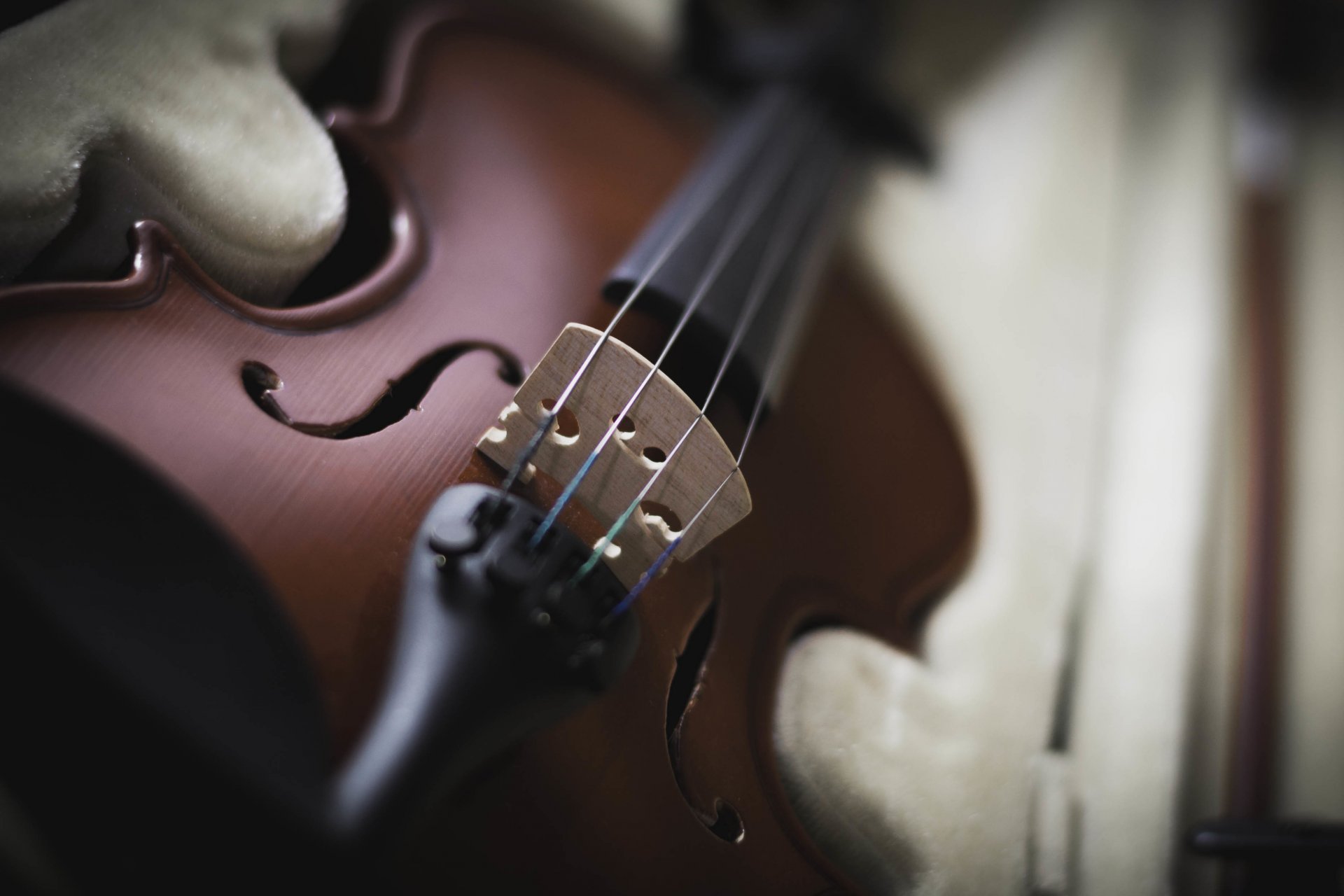 violín instrumento cuerdas