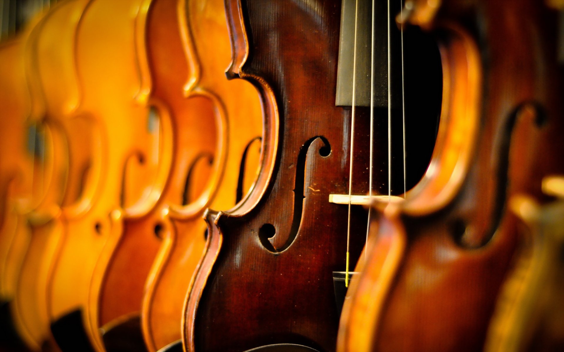 violins close up music