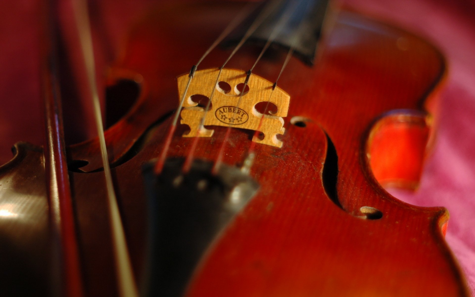 violín macro música