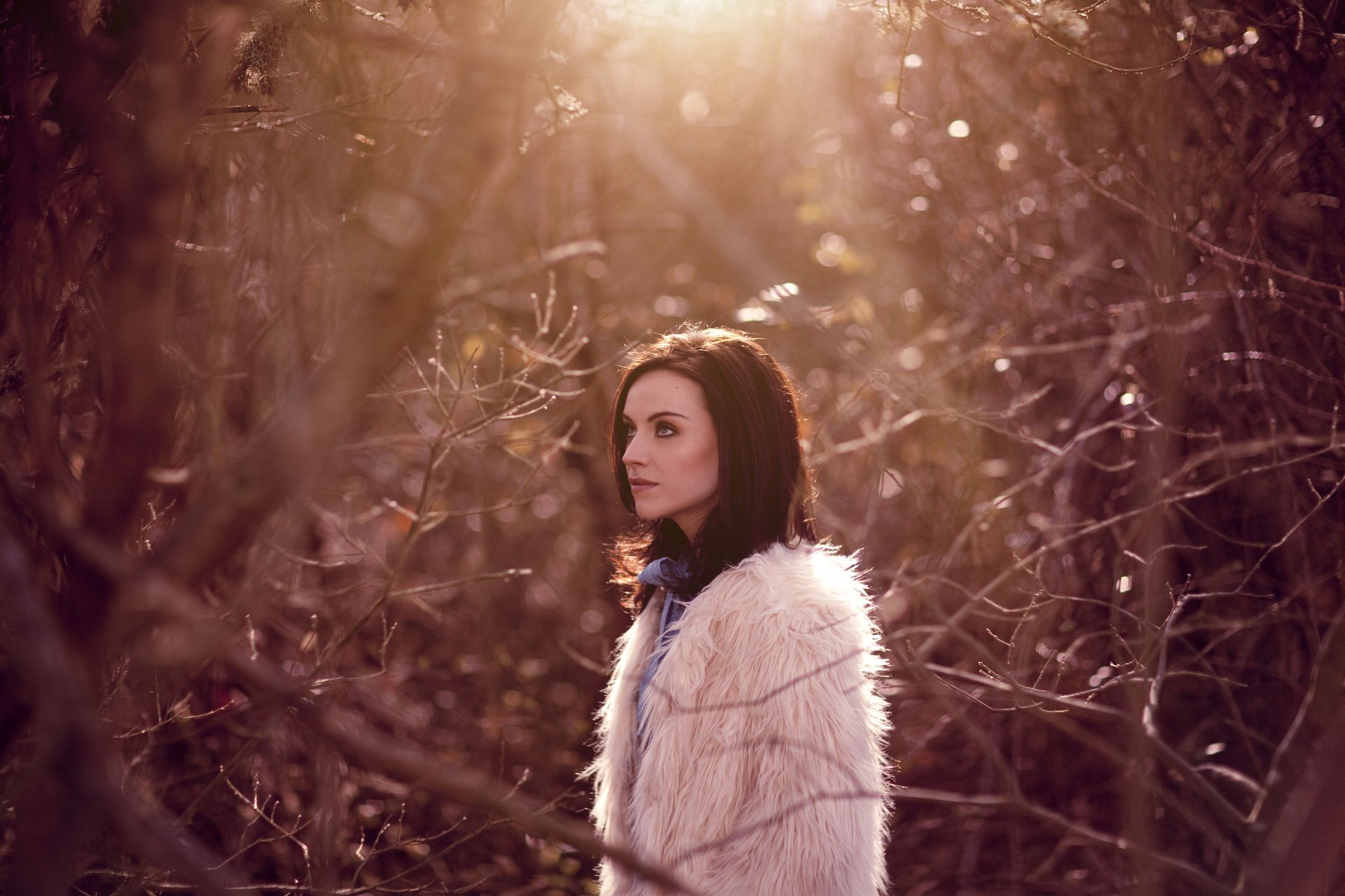 amy macdonald amy macdonald la vida en una hermosa luz cantante