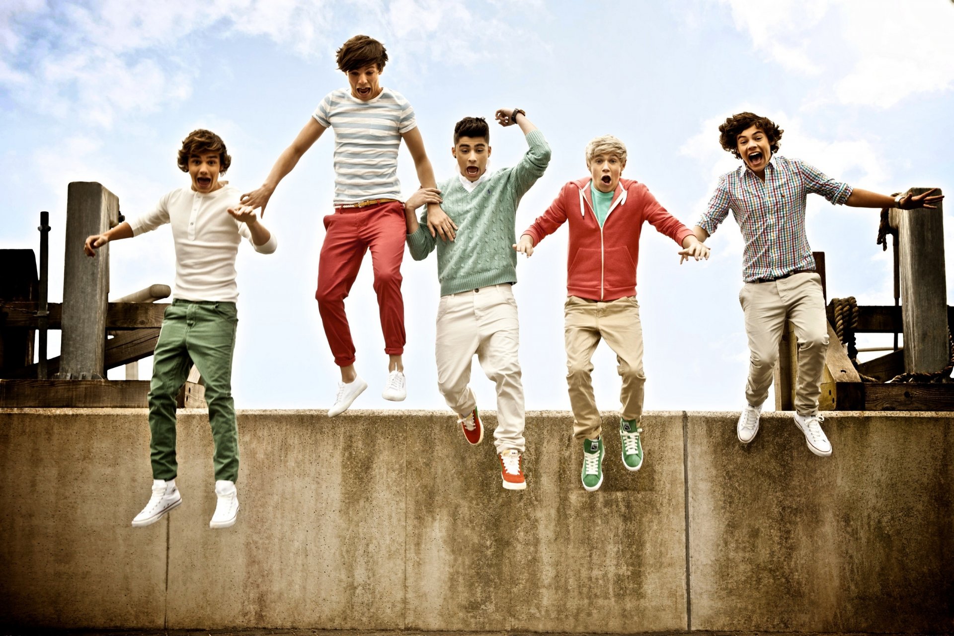 one direction the group harry styles zayn malik liam payne louis tomlinson niall horan 1d