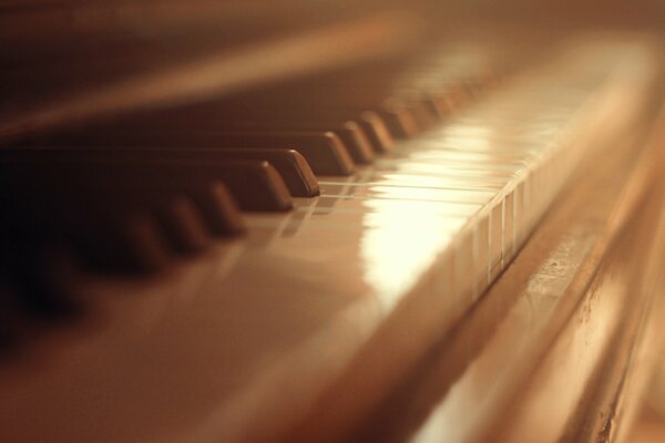 Piano keys close-up