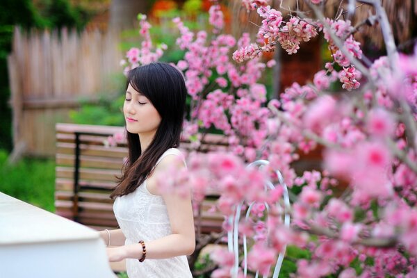 A girl plays the piano next to sakura