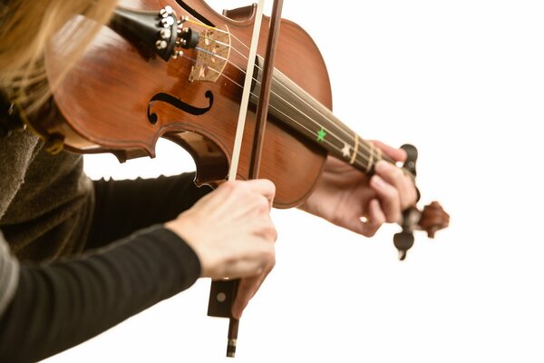 A musician plays the violin on a white background