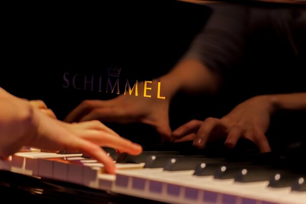 Die Hände des Pianisten auf den Klaviertasten