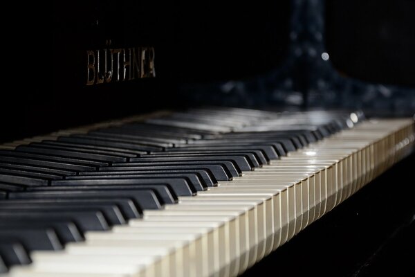 Foto macro dei tasti del pianoforte