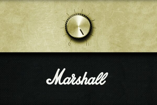 Guitare Marshall Max Sound