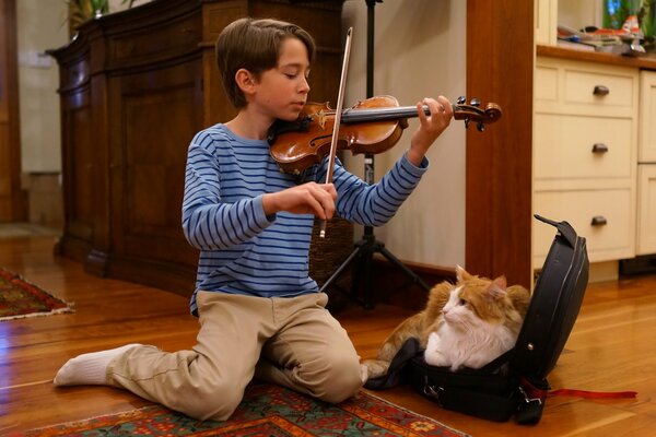 Violinista che gioca in cucina con un gatto